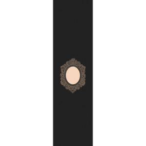 Fruity Griptape (9"x33") Clear Picture Frame Single Sheet