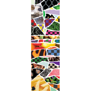 Fruity Griptape (11x35) Torn White